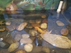 -上海昆虫博物馆