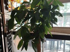 -岷山饭店-岷轩中餐厅