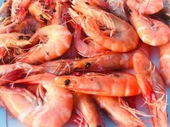 -正能量1号海鲜加工店