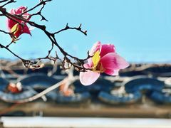 -老门东历史文化街区