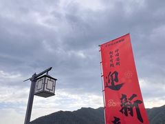 -大唐贡茶院