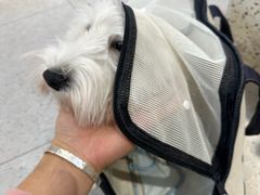-FAELING PETS美天灵宠物(富力广场店)