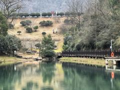 -桃花岭景区