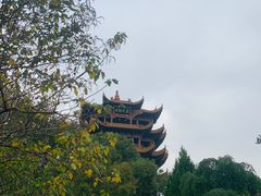 -黄鹤楼公园(黄鹤楼)