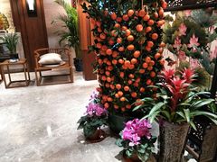 -明仕田园酒店