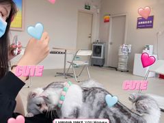 -怪兽屋·羊驼·猫咖·狗咖(俊华广场店)