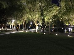 -天鹅湖体育公园