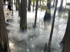 -东湖落雁景区