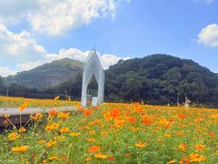 -东钱湖旅游度假区