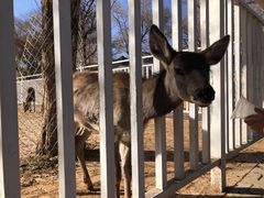 -赛汗塔拉风情园
