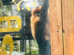 -海南热带野生动植物园