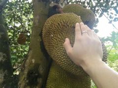 -海口骑楼小吃街