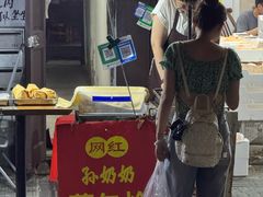 -孙奶奶葱包桧