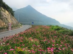 -武陵山森林公园