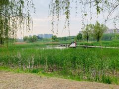 -马家湾湿地公园