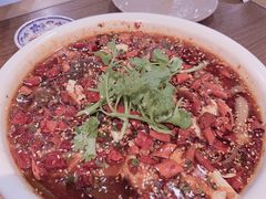 -肖四女乐山跷脚牛肉(世博源店)