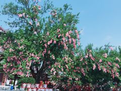 -祥源·阜阳生态乐园