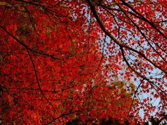 -狼山风景名胜区