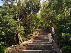 -梧桐山风景名胜区