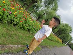 -艾溪湖湿地公园