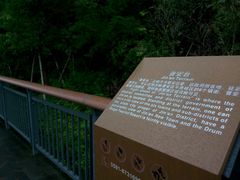 -金鸡山公园