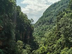 -赤水丹霞旅游区·佛光岩