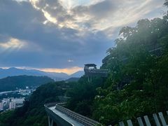 -福道