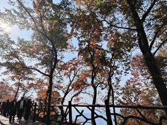 -广州市石门国家森林公园