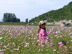景点-唐指山风景区