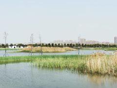 -嘉北郊野公园