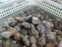 -南庄酒家·海鲜粤菜·25年老字号(环城南路店)