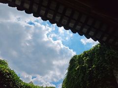 -寻魏随园·南京菜(老门东店)