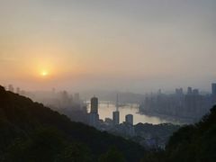 -一棵树(雨儿胡同)