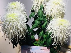 -汇龙潭