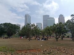 -万绿园
