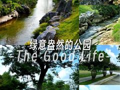 -羊山湖公园