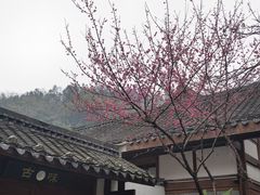 -常德桃花源景区