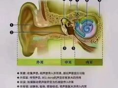 -自然之声助听器(平凉店)