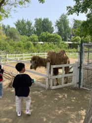 -优沃得自然教育农场·冰雪乐园·生日会·研学