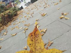 -玉女潭景区