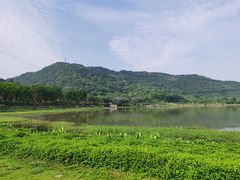 -风云岭森林公园