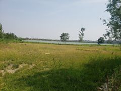 -绿堤公园