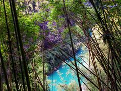 -阿依河景区