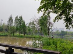 -洋湖国家湿地公园