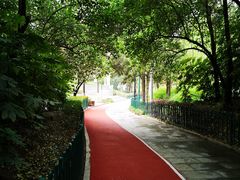 -西安市长乐公园