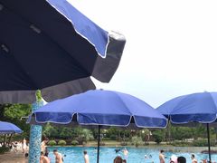 -浦鸿会游泳健身中心·Ambassy Club PD(金桥碧云国际社区店)