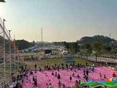 -长洲岛都市农业公园