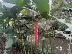 -中国科学院西双版纳热带植物园