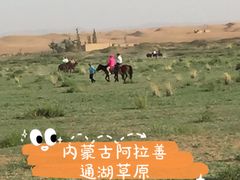 -通湖草原