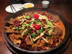 -老板恋上鱼(荣盛广场店)